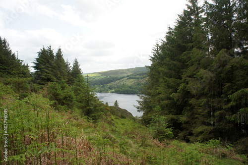 Midsummer on the shores of Lough Dan Lake.Wicklow Mountains.Ireland. 