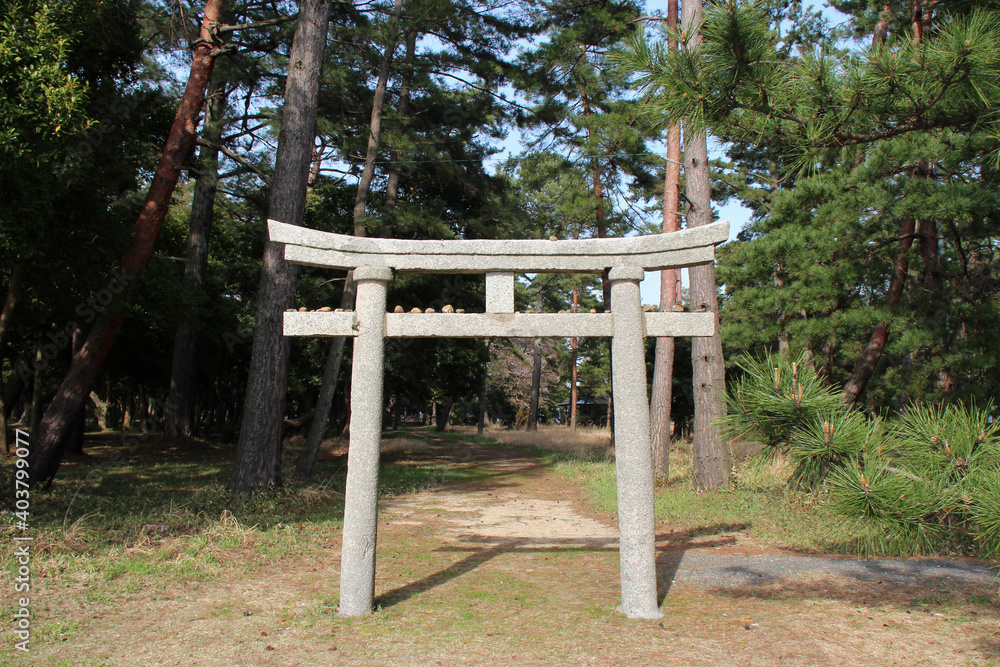 shinto gate (torii) in amanohashidate (japan) shinto gate (torii) in amanohashidate (japan)