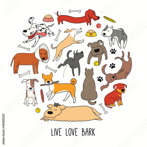 Cute funny different dog, puppy circle design, quote Live love bark. Hand drawn color vector illustration, isolated on white. Line art. Concept for trendy pet poster, t-shirt, fashion print.