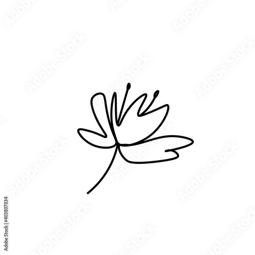 Vector Asian flower in doodle style Spring botanical illustration for Chinese New Year.Cherry blossom sakura with black hand drawn line.Design cards,social media,weddings,stickers,coloring books.