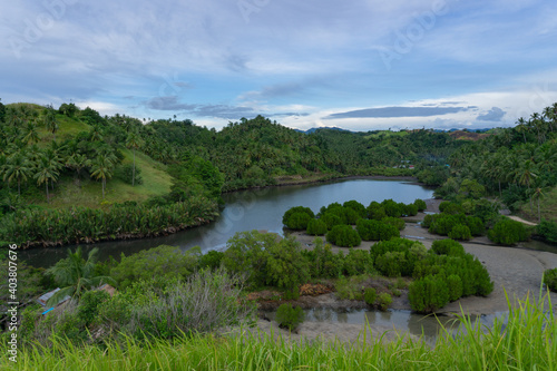 lake in the forest