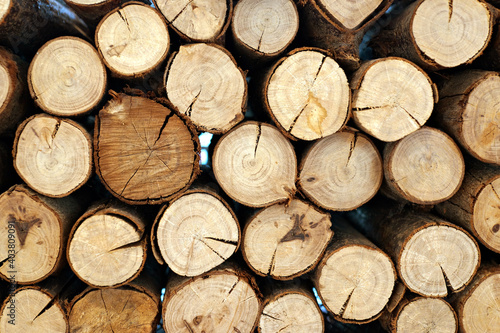 Stack of firewood or wooden natural logs as background