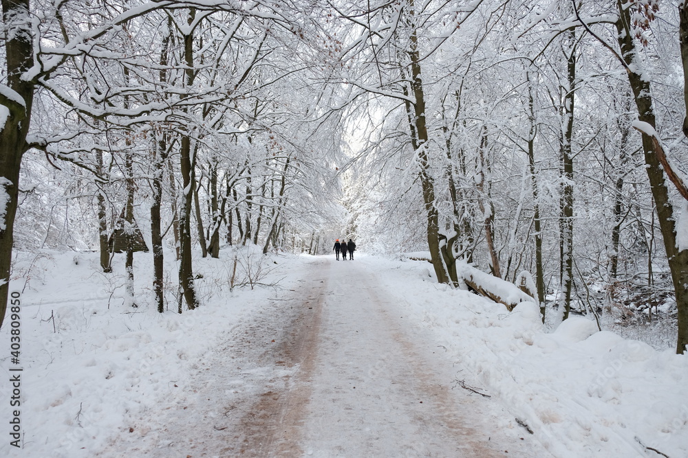 Winterwandern im Harz