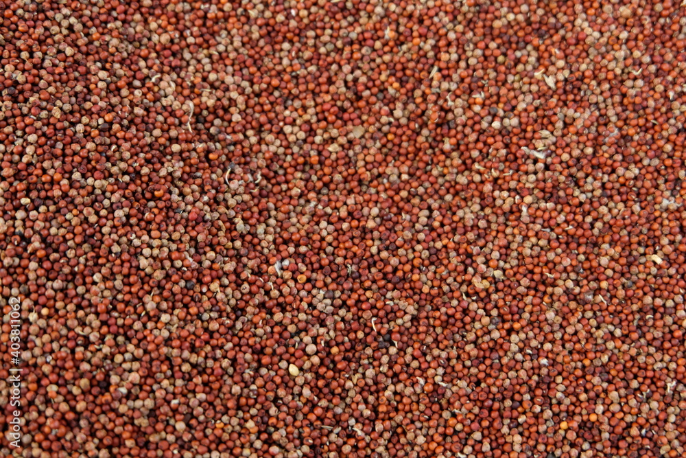 Pile of red millets also known as ragi. Pile of red millets also known as ragi.