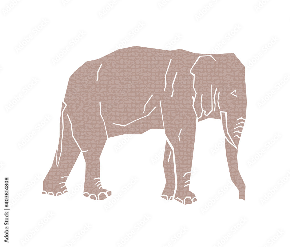 Fototapeta premium african elephant isolated on white