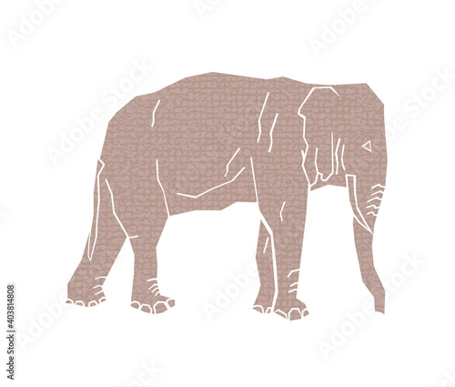 african elephant isolated on white