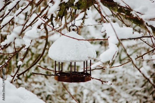 bird house in the winter photo