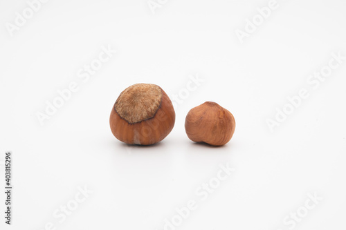 hazelnut hazelnuts in shell and peeled isolated on white background
