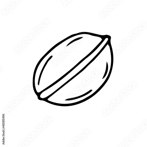 French cake macaroon, vector hand drawing doodle illustration