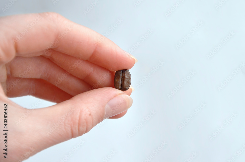 A small coffee bean in an onion. Fingers holding roasted coffee beans on a white background. Macrophotography 