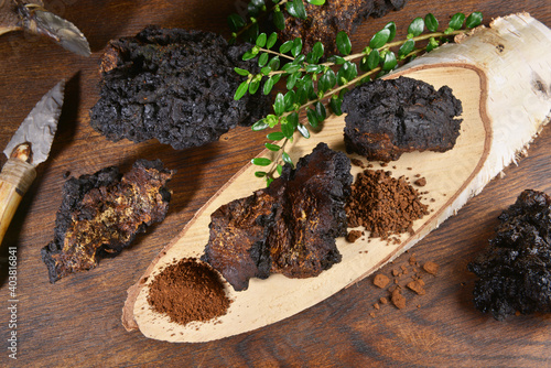 Chaga Mushroom on a wooden Table - Healthy Nutrition