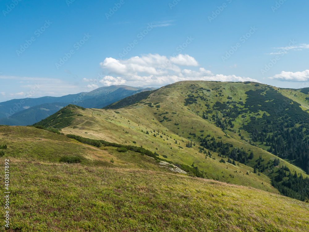 Grassy green hills and slopes at ridge of Low Tatras mountains with hiking trail footpath, mountain meadow, and pine scrub, Slovakia, summer sunny day, blue sky background Grassy green hills and slopes at ridge of Low Tatras mountains with hiking trail footpath, mountain meadow, and pine scrub, Slovakia, summer sunny day, blue sky background