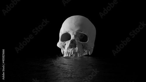 3d render of high detailed skull geometry on reflective floor. Single head...