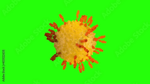 The virus model is realistic. Corona virus, hepatitis virus, influenza virus H1N1, flu, cell infect organism, aids.Viral disease outbreak. 3d rendering