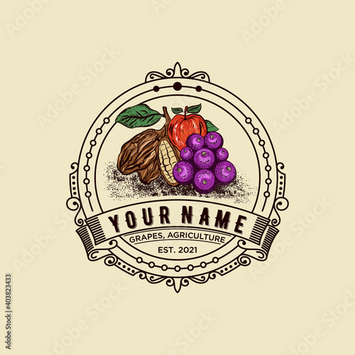 
grapes, apples and chocolates, vintage style. A trendy concept for wine lists, bar or restaurant menus, production labels and packages. Vector