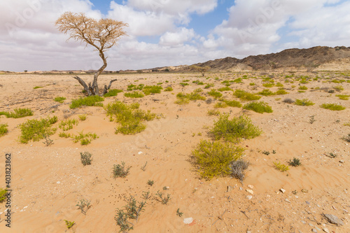 Landscape of central desert of Oman