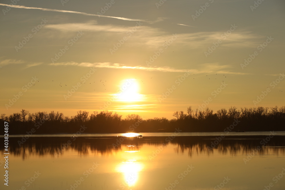 Dark silhouette of trees growing on the river bank in the rays of the evening sunset. Reflection in water. Calm mood to simulate the beauty of nature. A beautiful landscape conducive to reflection