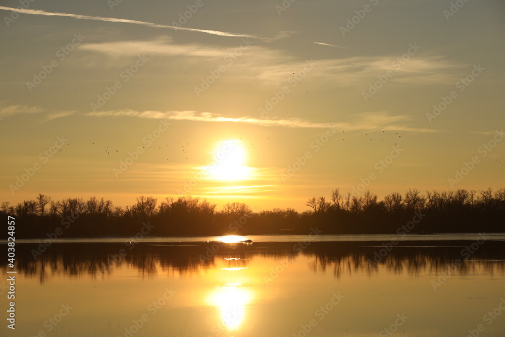 Dark silhouette of trees growing on the river bank in the rays of the evening sunset. Reflection in water. Calm mood to simulate the beauty of nature. A beautiful landscape conducive to reflection Dark silhouette of trees growing on the river bank in the rays of the evening sunset. Reflection in water. Calm mood to simulate the beauty of nature. A beautiful landscape conducive to reflection