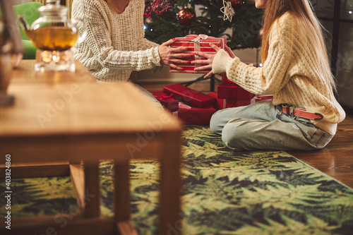 Teenage girl with mother sitting under Christmas tree indoors