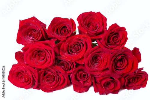 Bouquet of red  burgundy  roses on a white background. Water drops. Close-up.