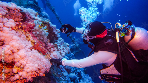 Fototapeta Naklejka Na Ścianę i Meble -  research by divers of a sunken ship on a coral reef in the Red Sea