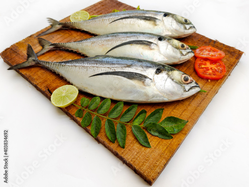 Fresh Finletted Mackerel Fish (Torpedo Scad) decorated with herbs and