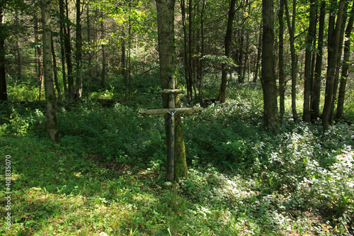 Old cemetery and ruins of orthodox church in Czeremcha - former and abandoned village in Low Beskids, Poland photo