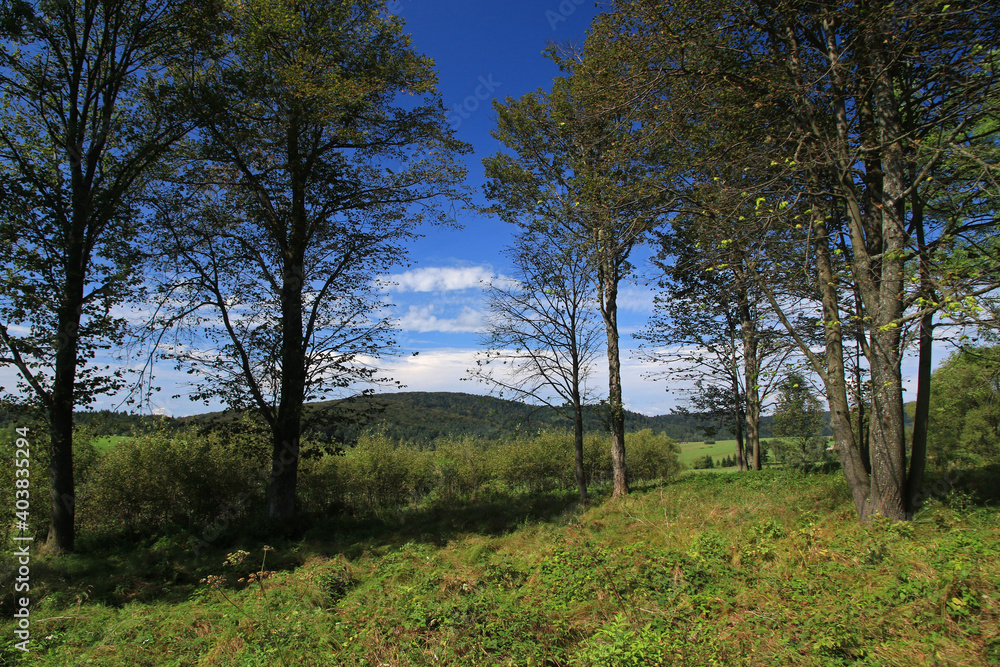 Old cemetery and ruins of orthodox church in Czeremcha - former and abandoned village in Low Beskids, Poland