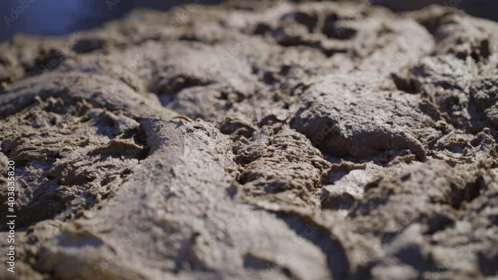 Close view of fermentation of rye dough with bran in a bowl Close view of fermentation of rye dough with bran in a bowl