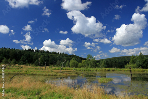 Backwaters of the Jasiolka river in Jasiel - former and abandoned village in Low Beskids  Poland
