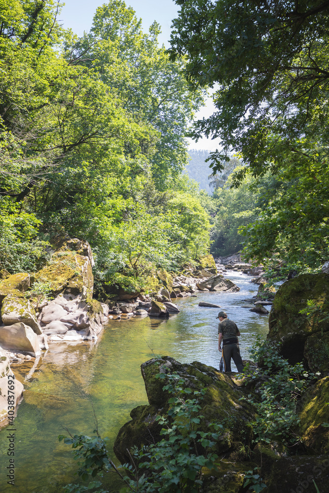 fisherman fishing salmons in north spain