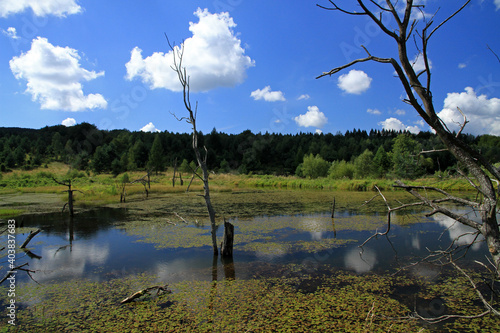 Backwaters of the Jasiolka river in Jasiel - former and abandoned village in Low Beskids, Poland photo