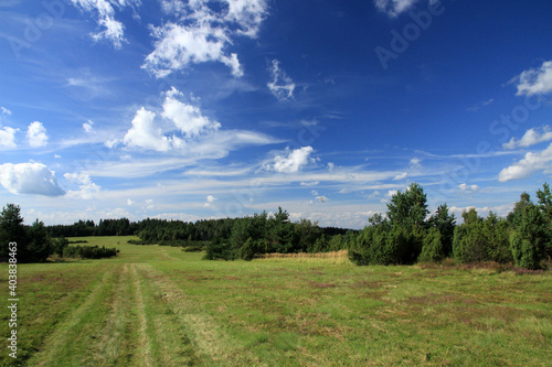Fototapeta Naklejka Na Ścianę i Meble -  Landscape of Jasiel - former and abandoned village in Low Beskids, Poland