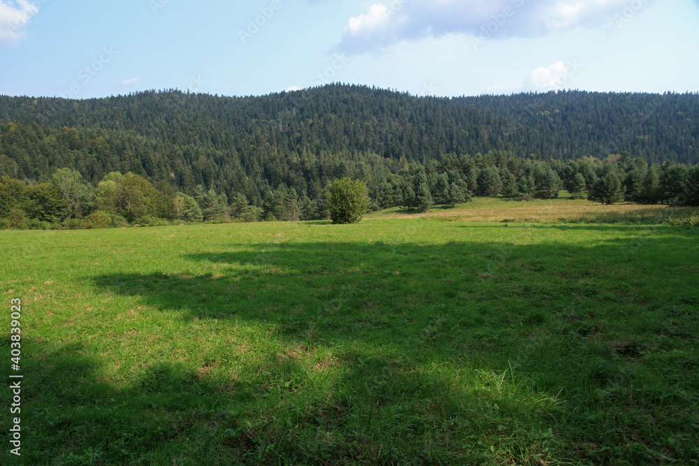 Landscape of Jawornik former and abandoned village in Low Beskids, Poland