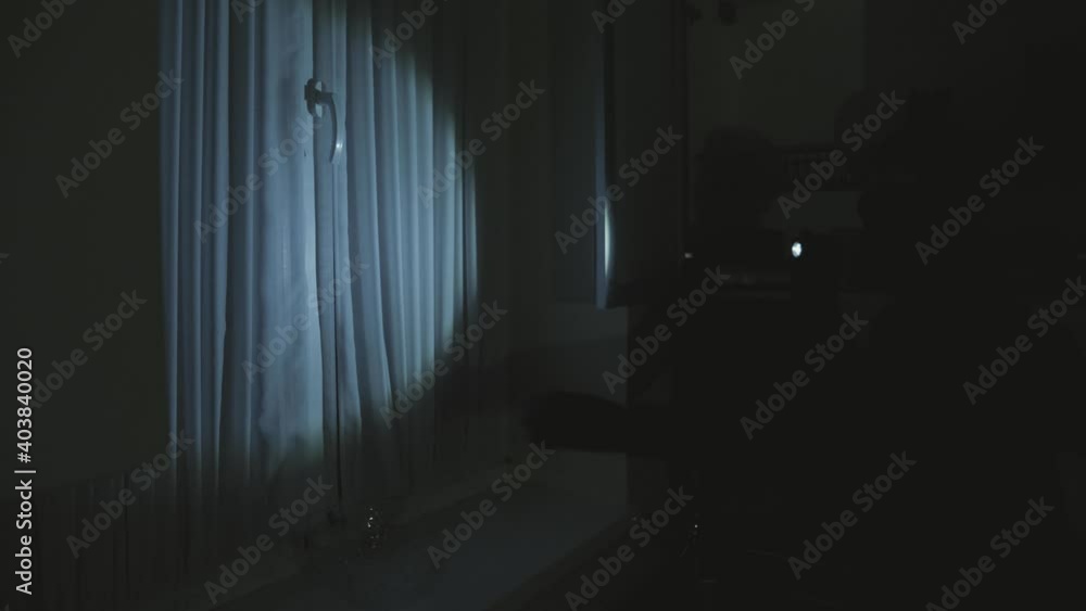 Full length of robber. Man with flashlight and bag in living room. Full length of robber. Man with flashlight and bag in living room.