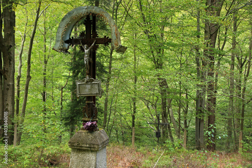 Fototapeta Naklejka Na Ścianę i Meble -  Old cemetery with many vampire burial in Jawornik - former and abandoned village in Low Beskids, Poland