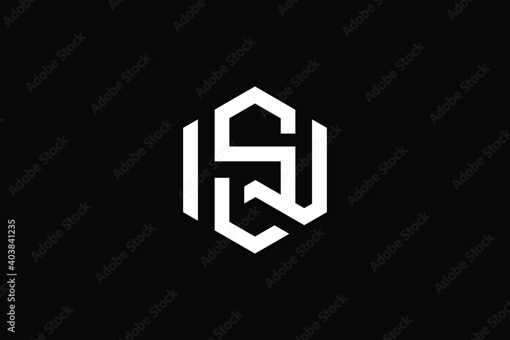 WS logo letter design on luxury background. SW logo monogram initials letter concept. WS icon logo design. SW elegant and Professional letter icon design on black background. W S SW WS WS logo letter design on luxury background. SW logo monogram initials letter concept. WS icon logo design. SW elegant and Professional letter icon design on black background. W S SW WS
