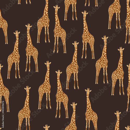 Photography Abstract  seamless pattern with giraffes on dark background