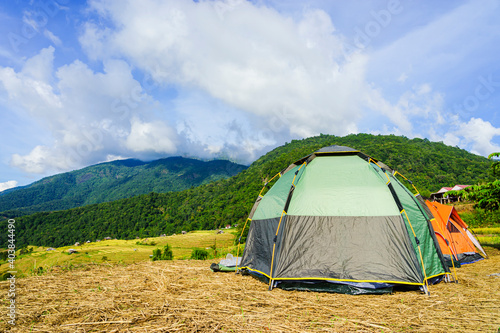 Tourist tent camping on the hill beneath the mountains under dramatic sky and golden terrace fields view in Chiangmai , northern of Thailand.