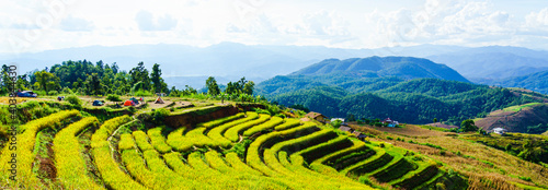 Beautiful step of rice terrace paddle field and tourist camping tent in  Chiangmai, Thailand , Southeast Asia. Travel concept.