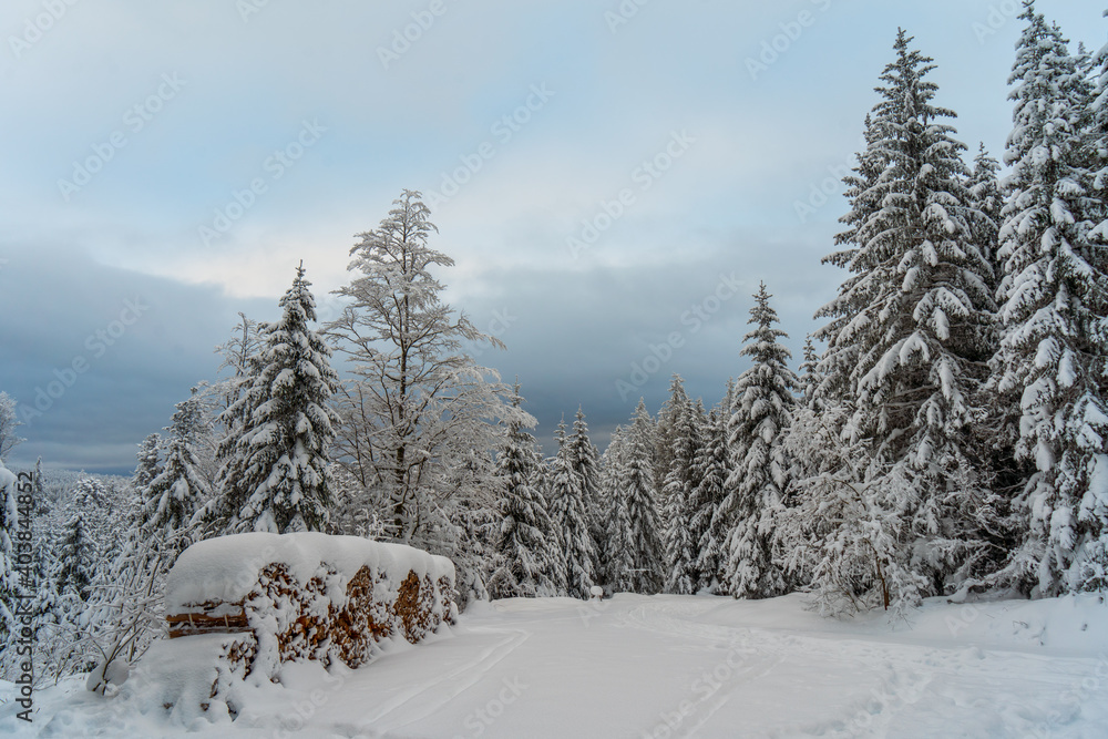 Schwarzwald bei Hinterzarten im Winter Schwarzwald bei Hinterzarten im Winter
