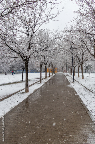 snowy gardens in the city of Madrid with the snowfall of January 2021 © josevgluis