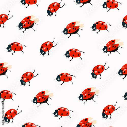 Seamless pattern with ladybugs on white background