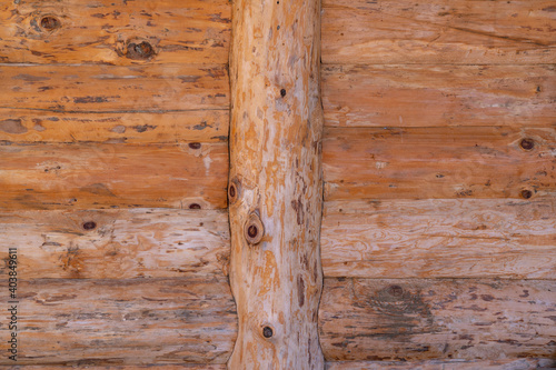 Old wood Background Texture
