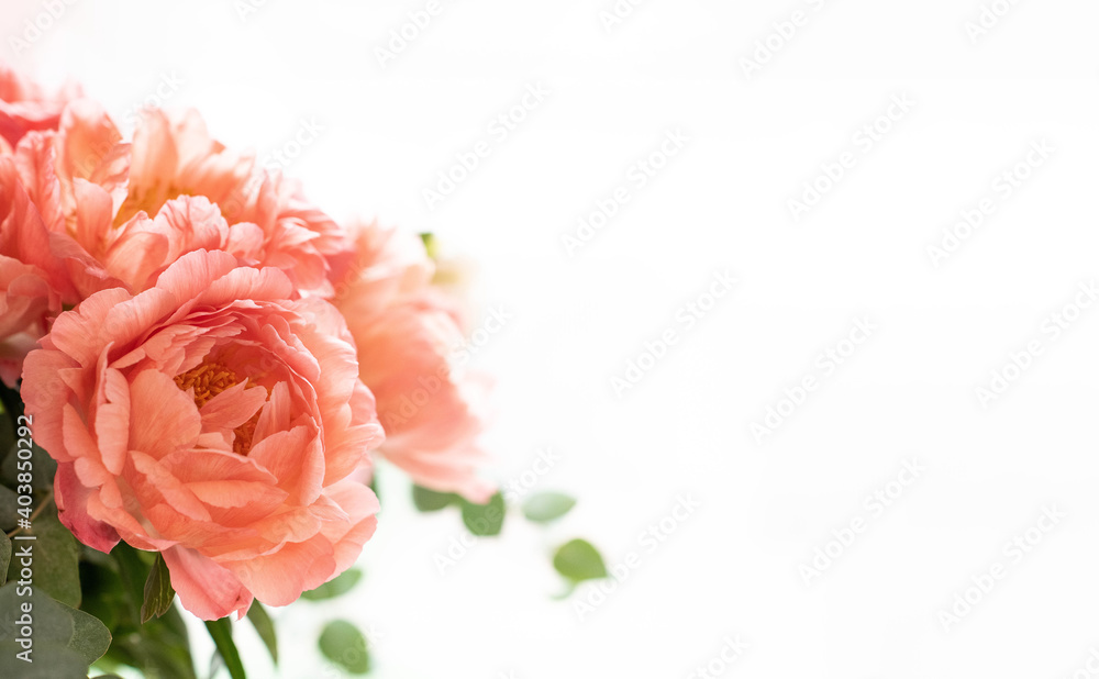 Bouquet of peonies on a white background. Eucalyptus and peonies bouquet in a glass vase. Beautiful bouquet of flowers.