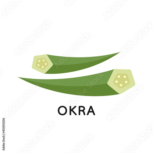 Okra on white background. Okra vector. Okra logo design.