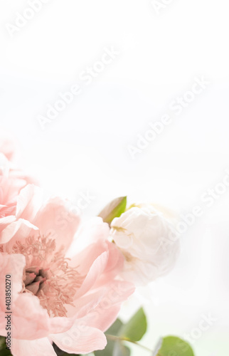Bouquet of peonies on a white background. Eucalyptus and peonies bouquet in a glass vase. Beautiful bouquet of flowers.