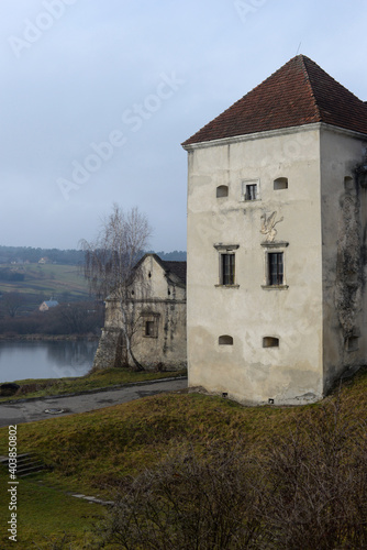 Svirzh castle