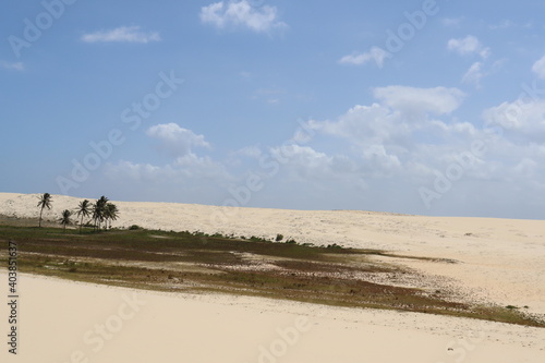 a dune with some Grass and a blue sky 