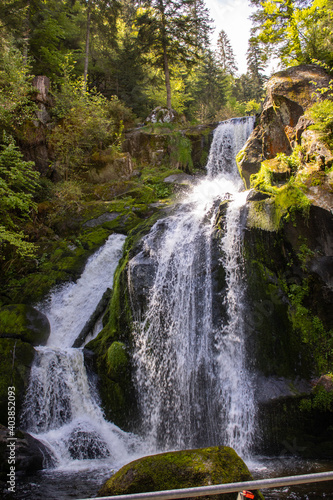 Fototapeta Naklejka Na Ścianę i Meble -  Wasserfall Triberg